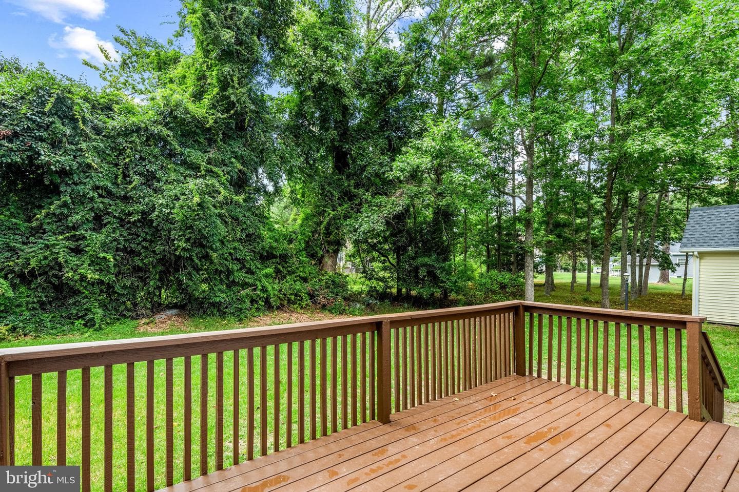 15 Raft Road photo 36