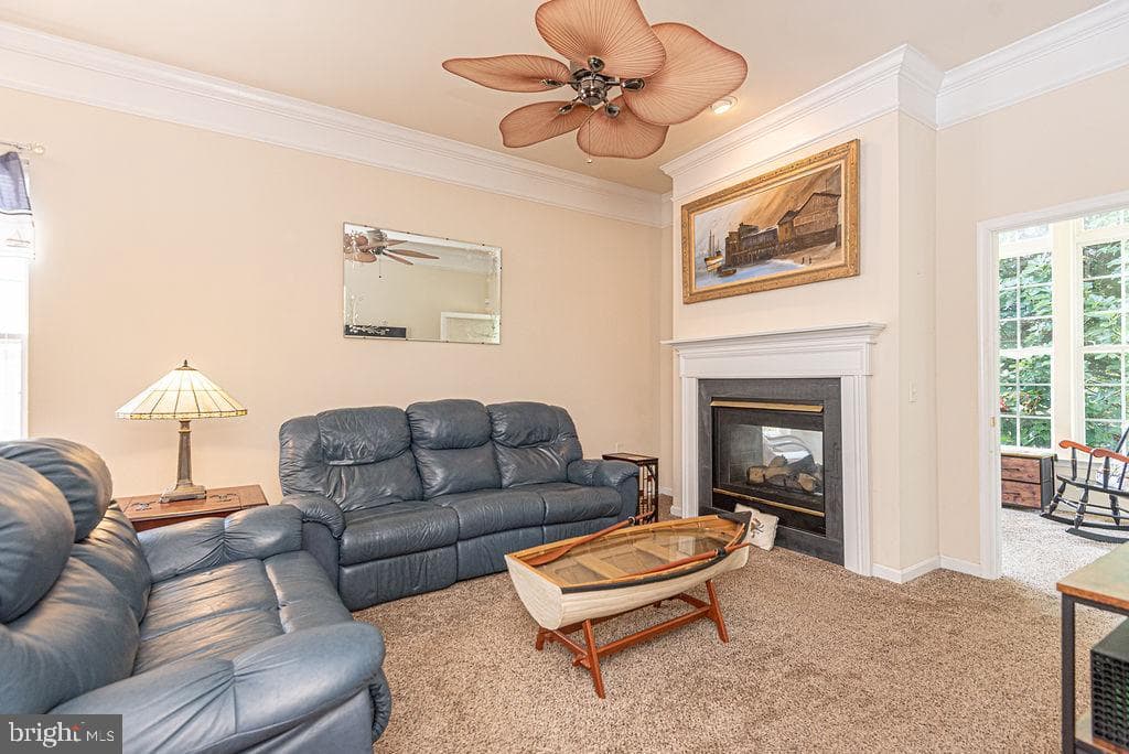 6 Easton Avenue photo 19