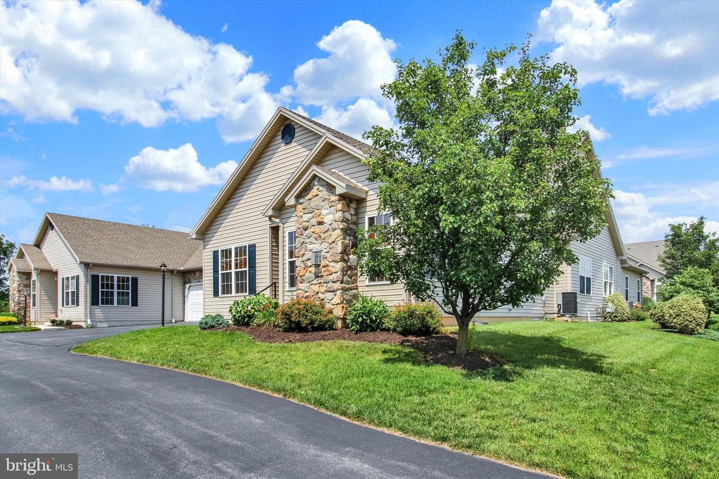 31 Ivy Lane photo 4