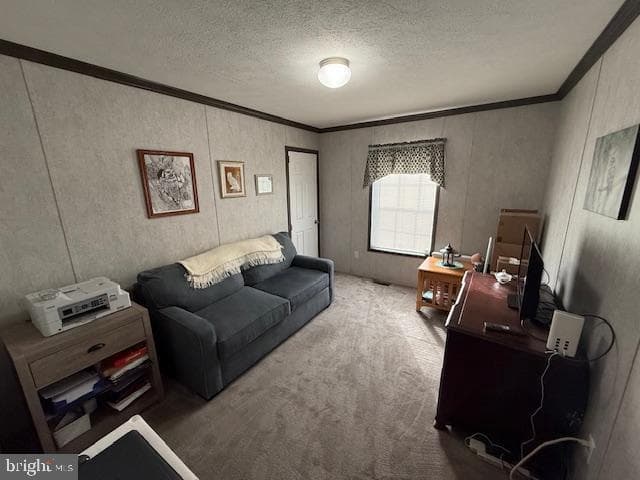 14 Egret Drive photo 23
