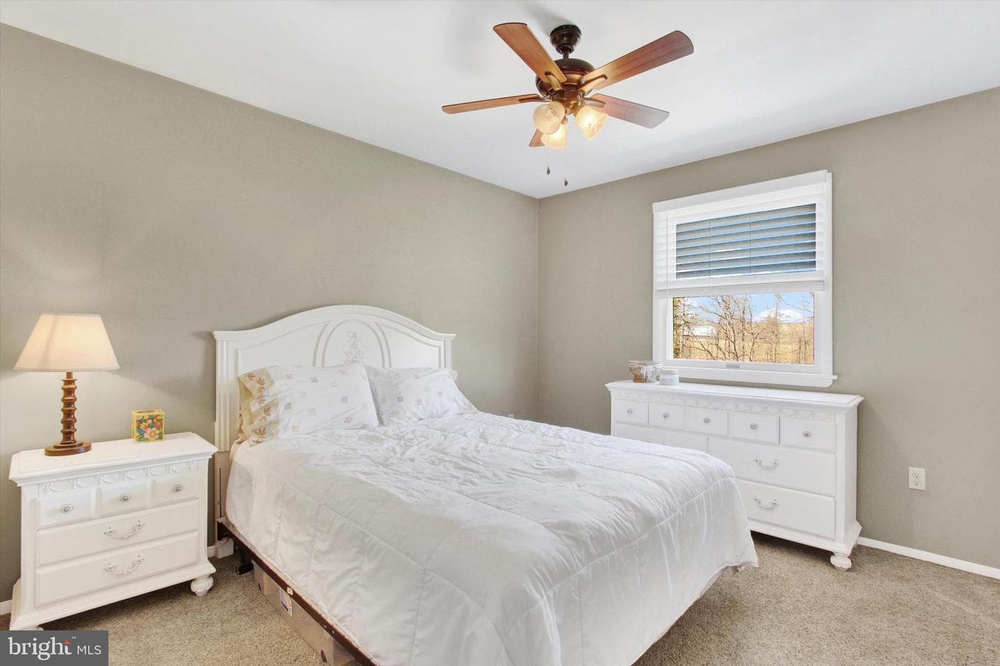3 Howard Drive photo 20