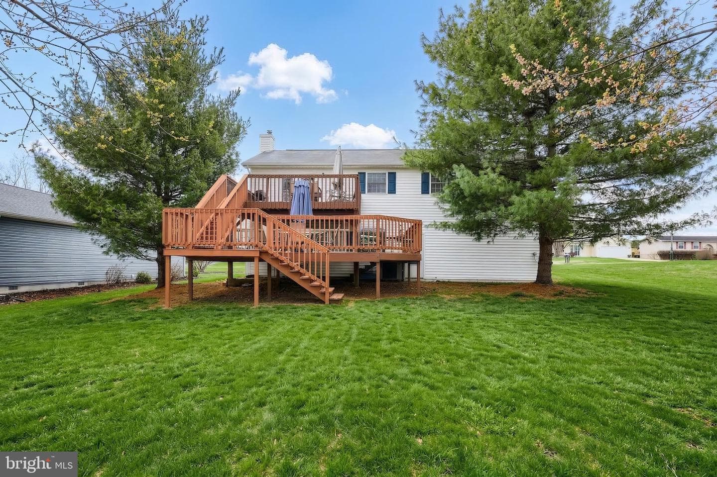 15 Sedgwick Drive photo 8