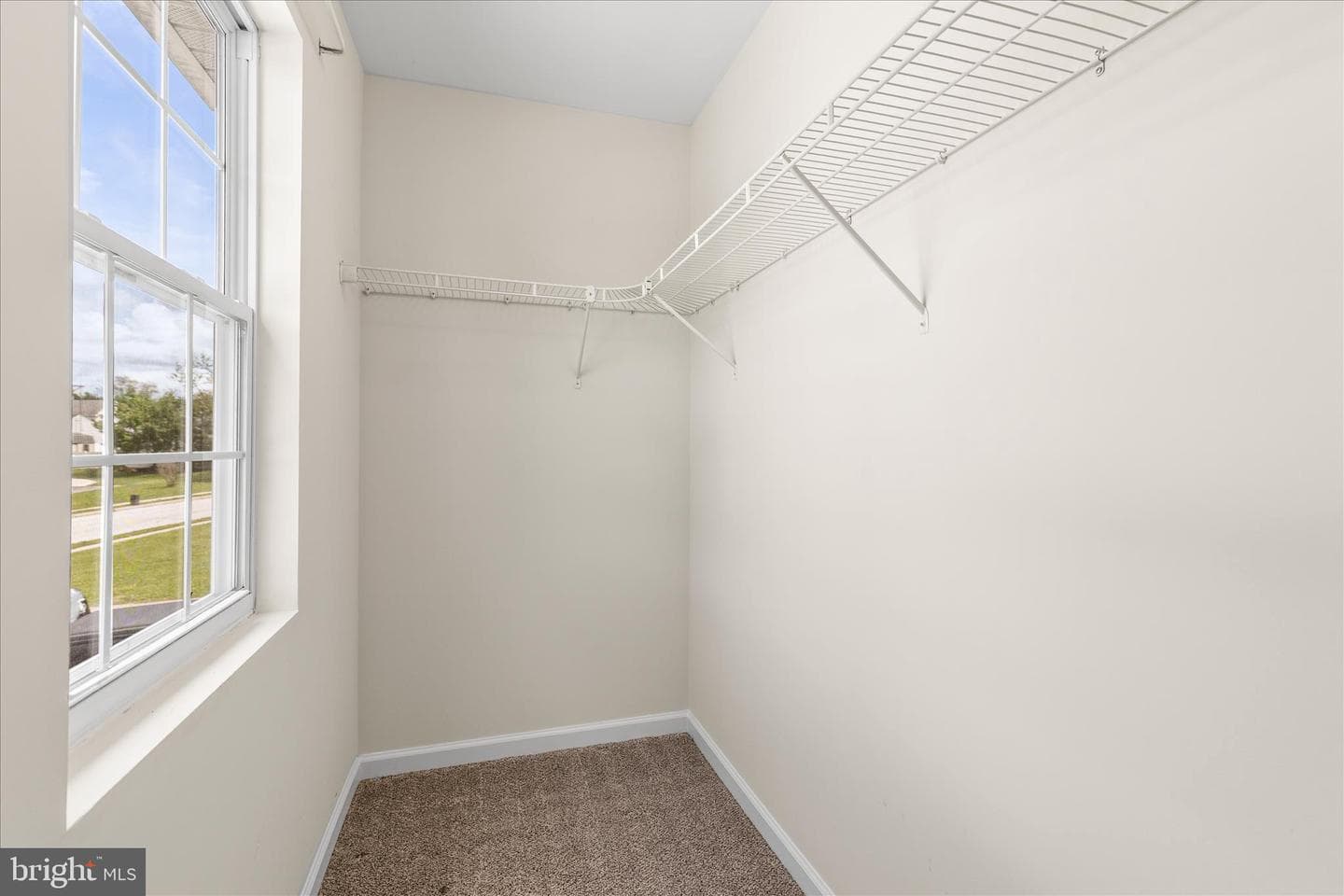 5 Oxwood Circle photo 16