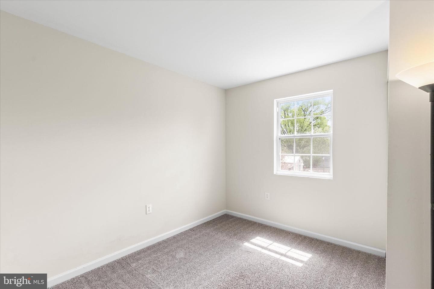 5 Oxwood Circle photo 19