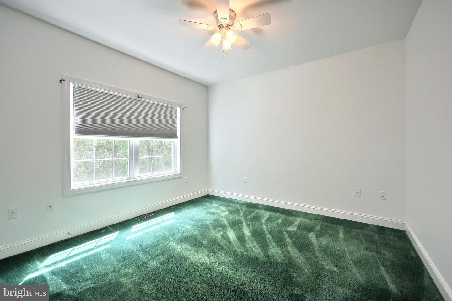 16 Hines Drive photo 65