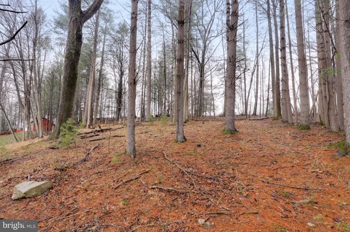 3065 Buchanan Valley Road photo 40