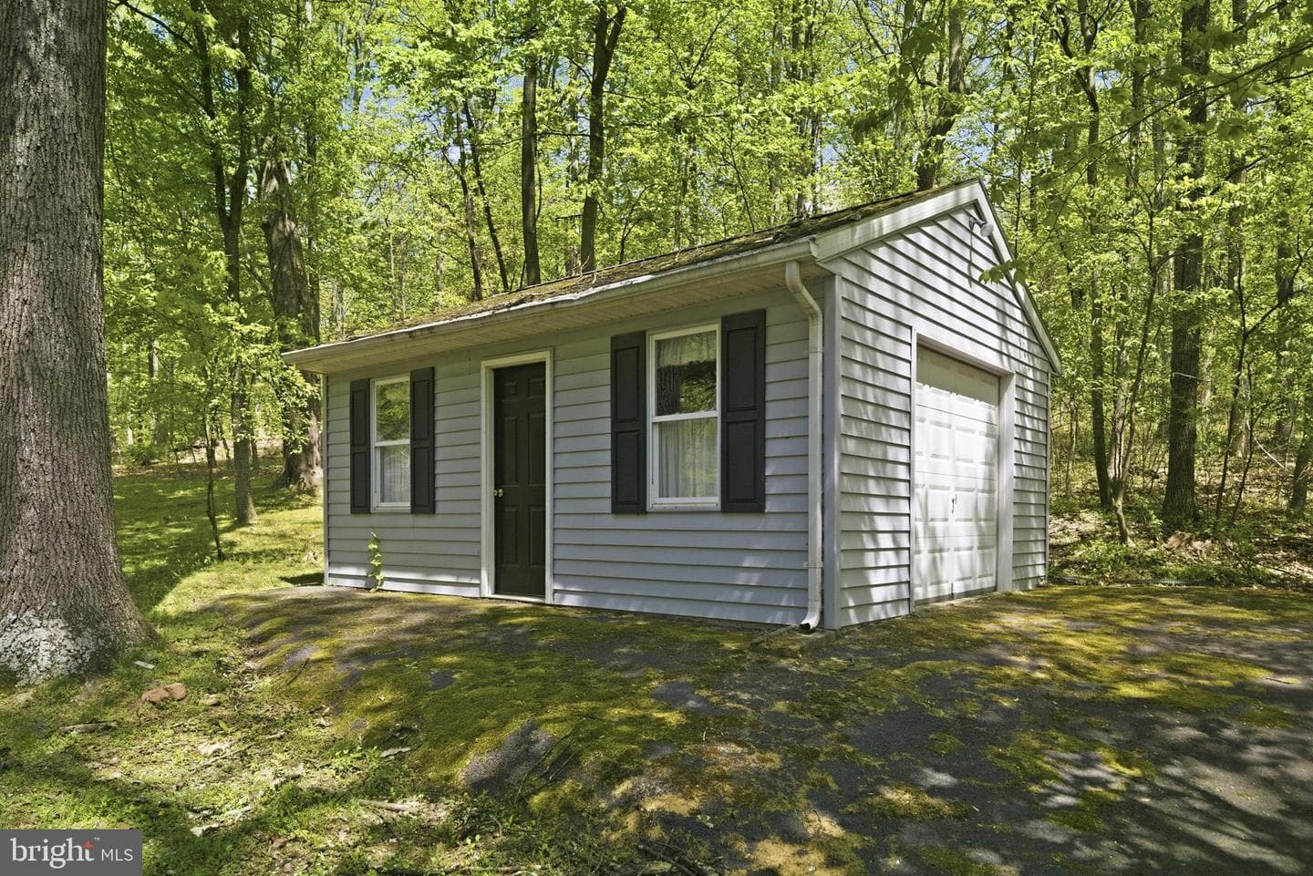 175 Carr Hill Rd photo 7