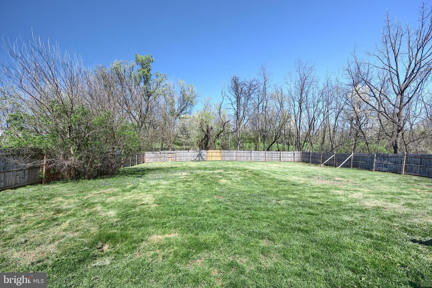 66 Little Avenue photo 23