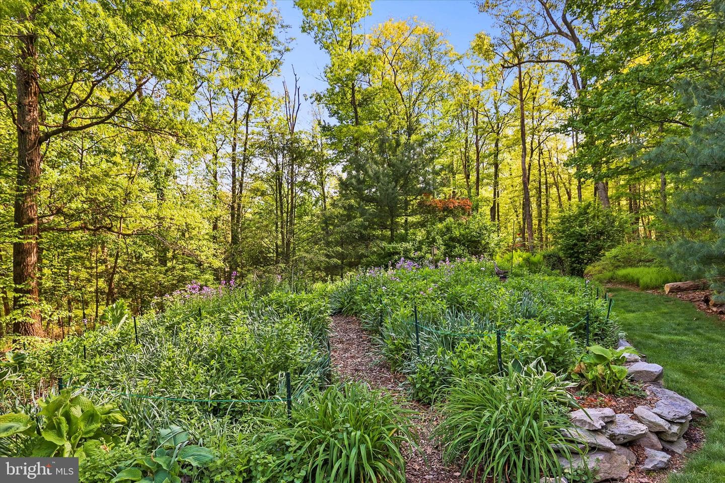 166 Woodview Road photo 24