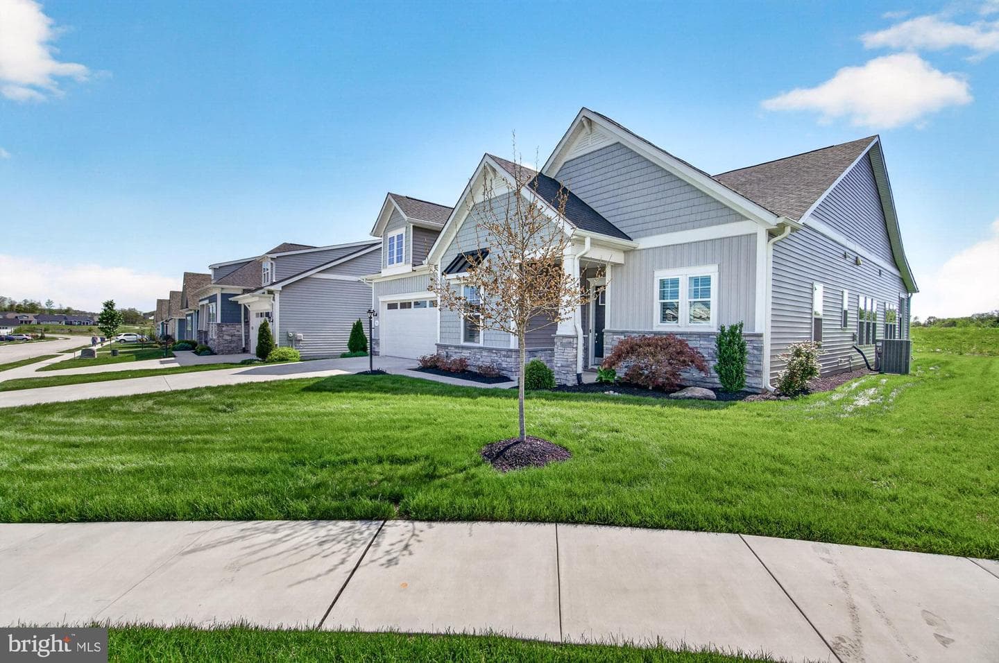 374 Lively Stream Way photo 4