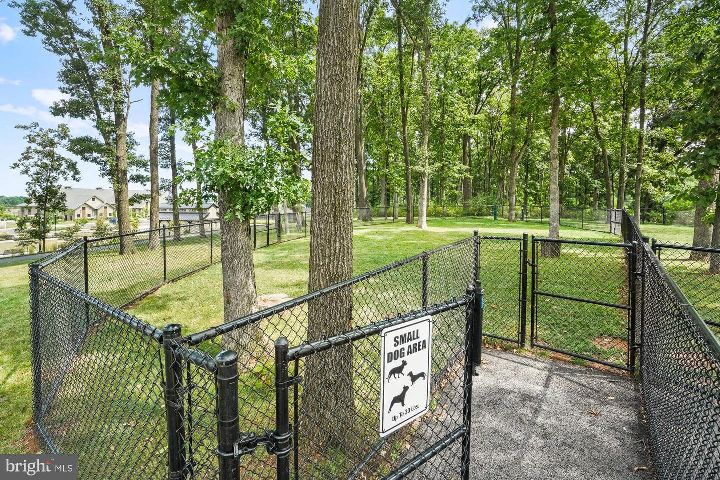 374 Lively Stream Way photo 80