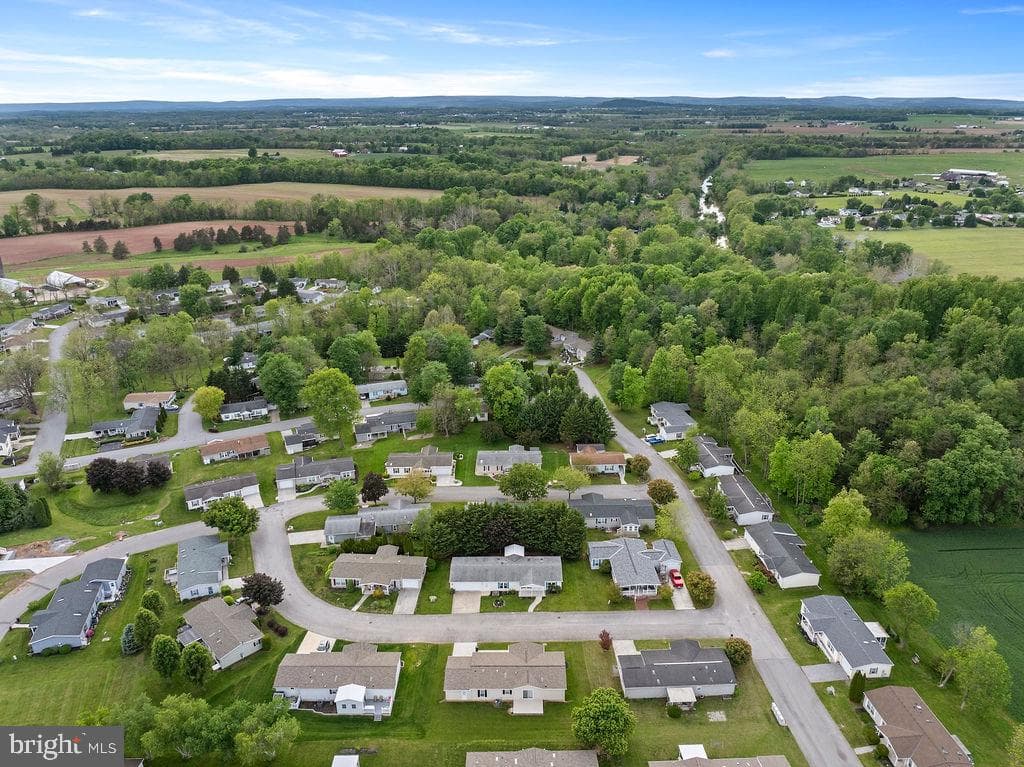 602 Pine Tree Lane photo 32