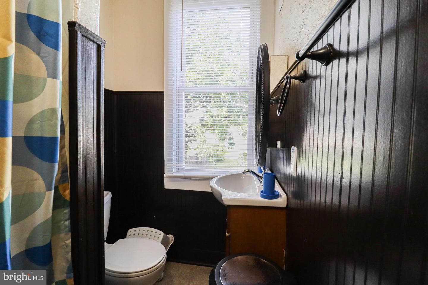 8 Carlisle Street photo 31