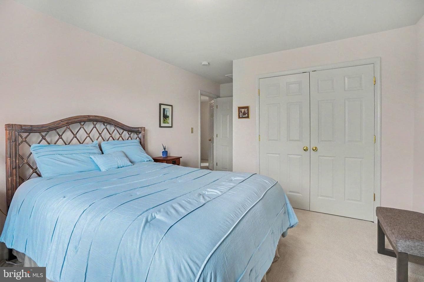 75 Palace Drive photo 19