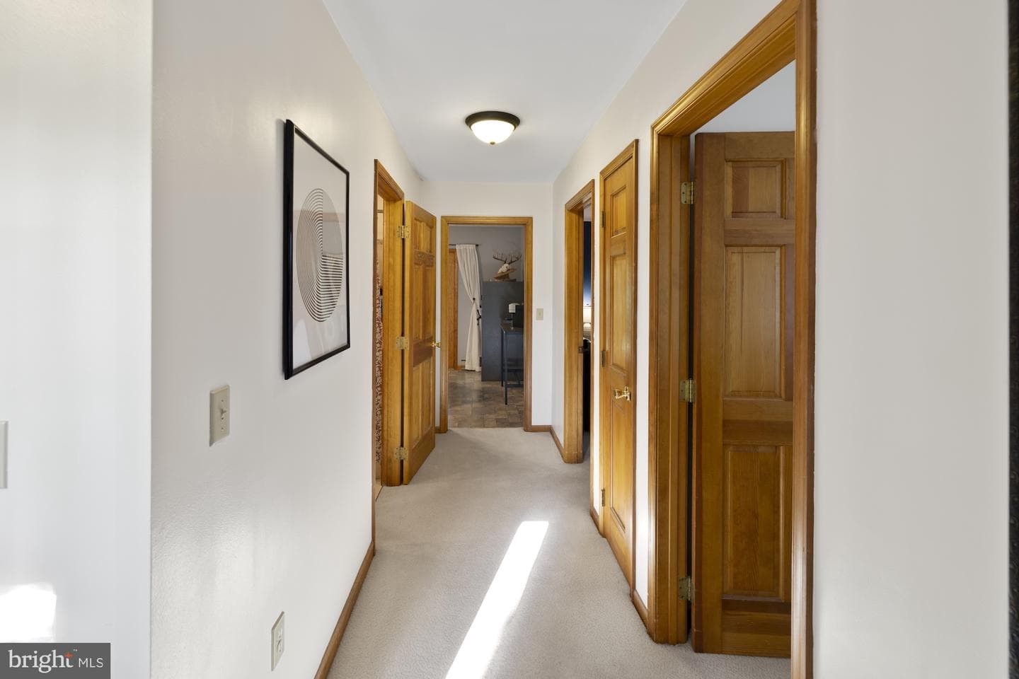 8 Hill Drive photo 20