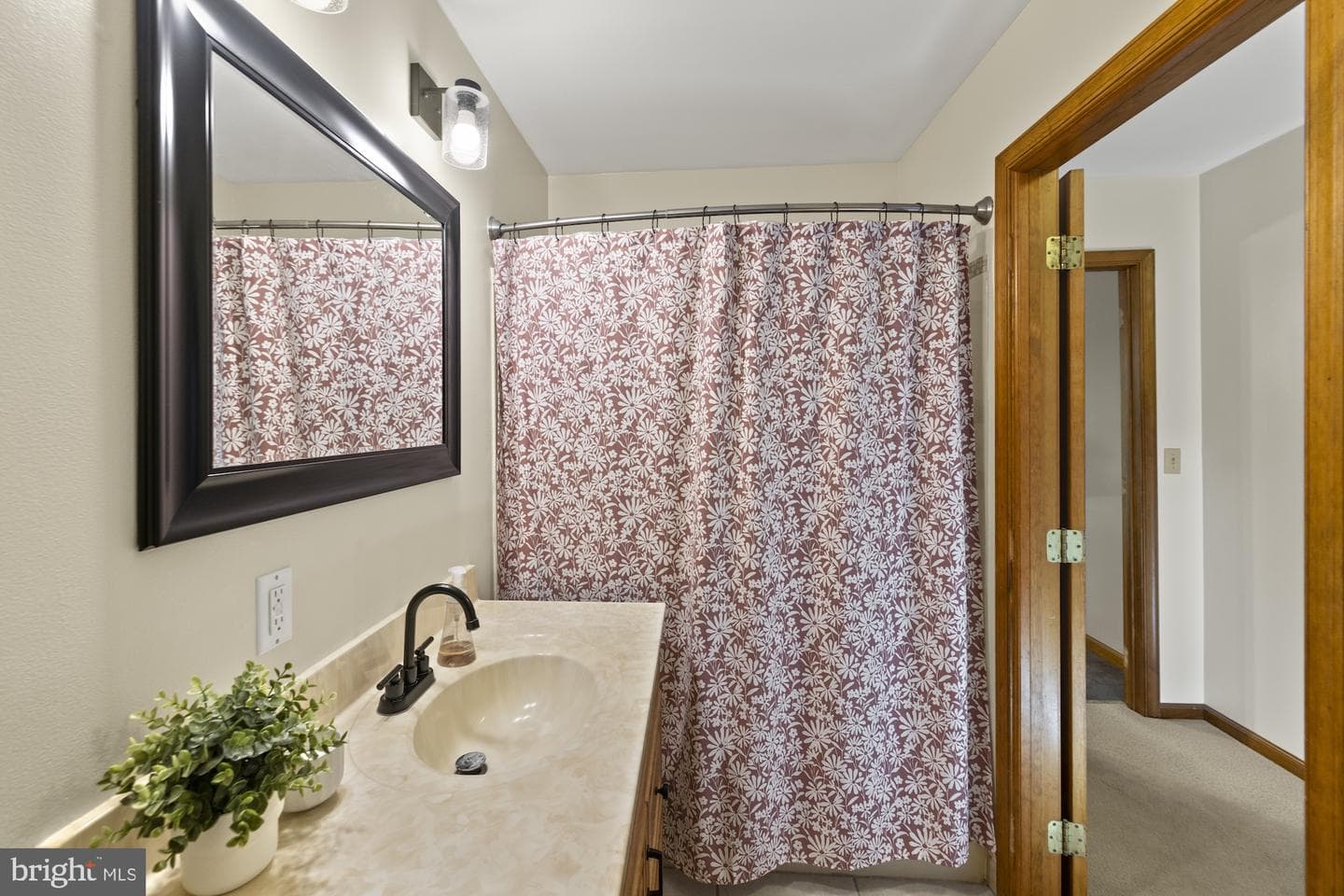 8 Hill Drive photo 22