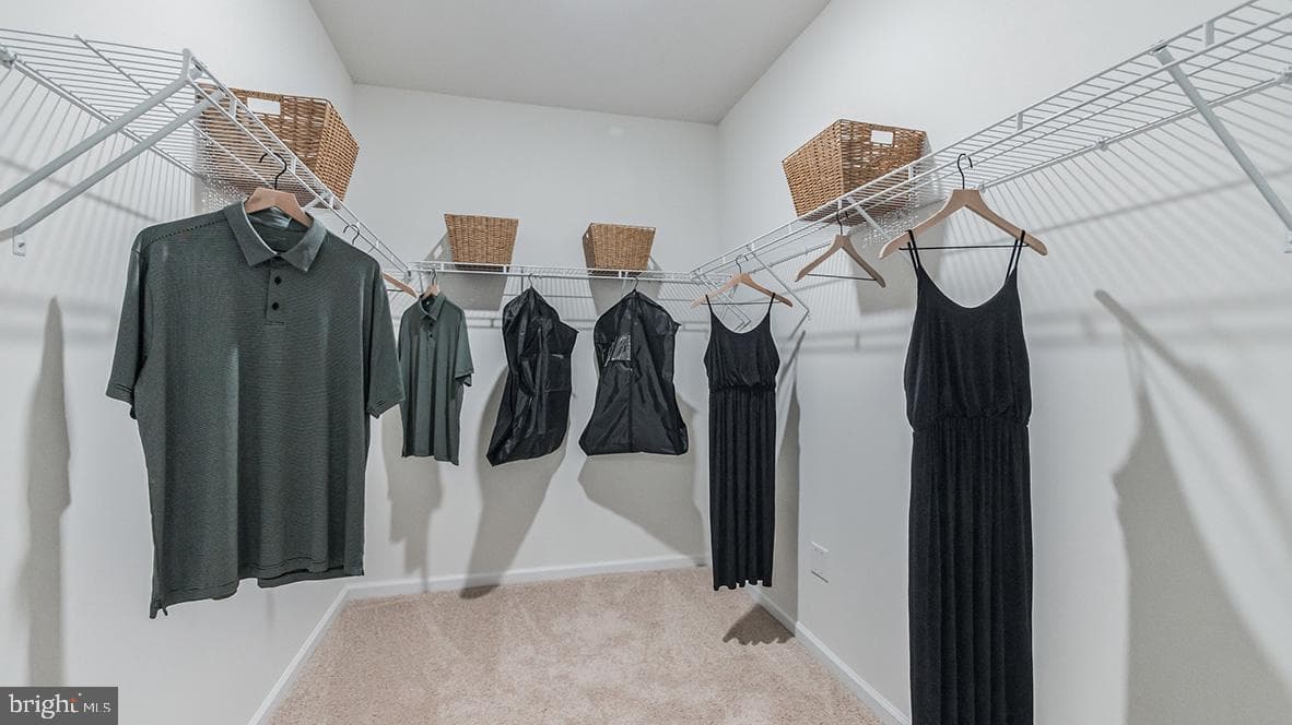 101 Elderberry Way photo 8