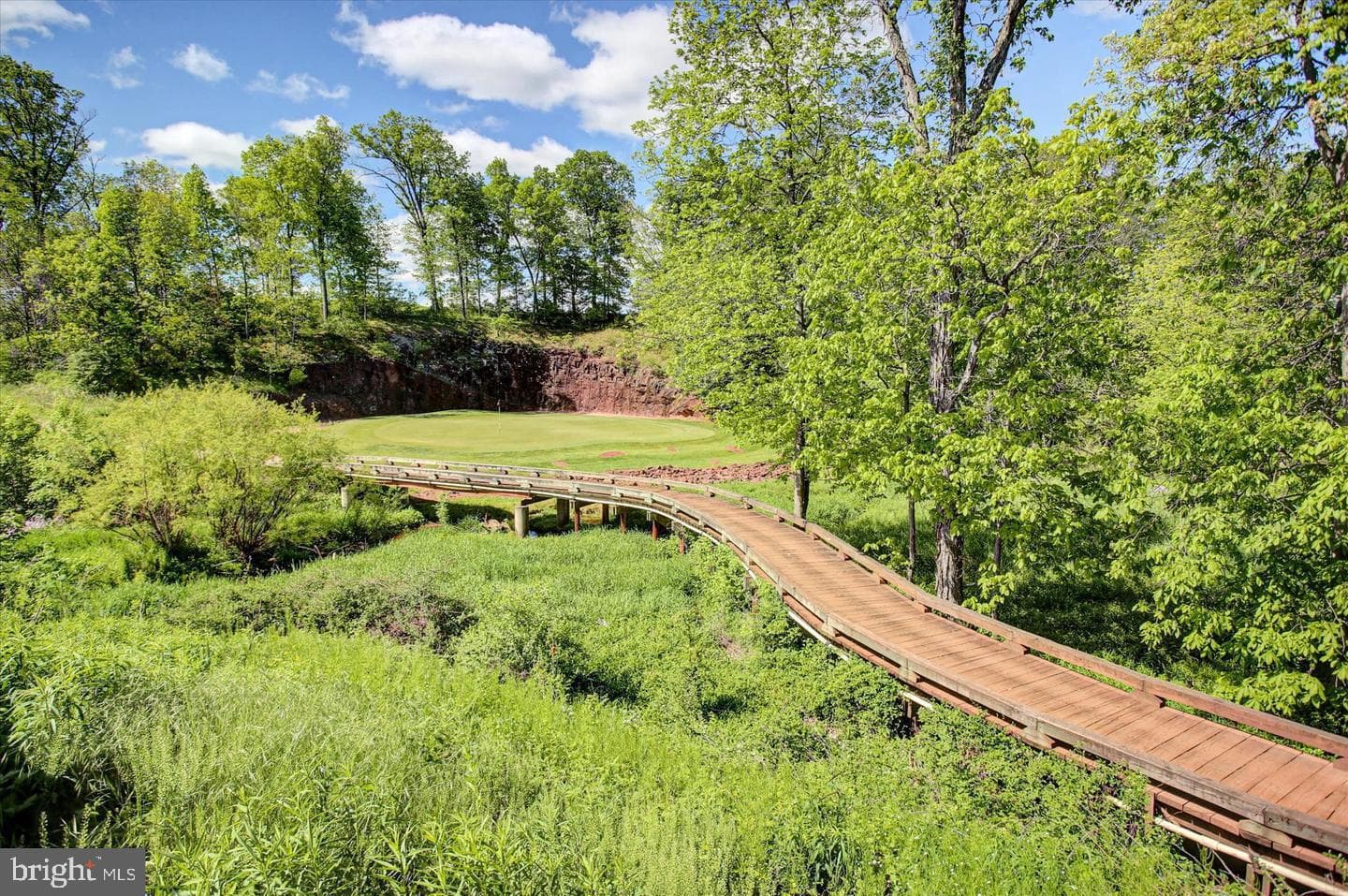 75 Garrison Falls Drive photo 62