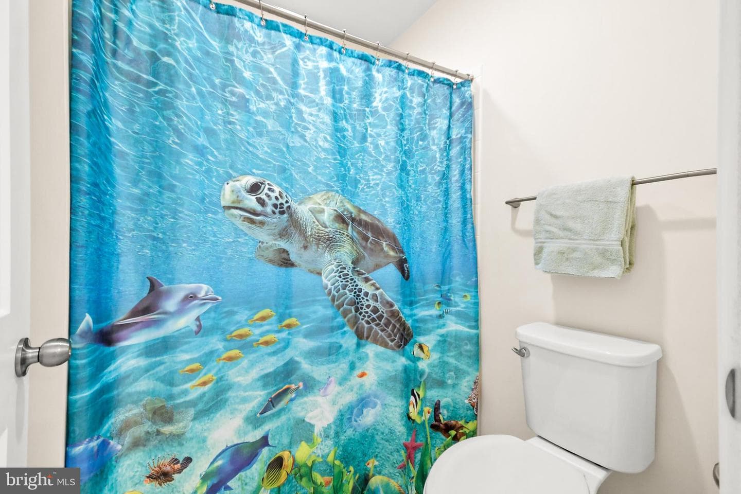 19 Broomsedge Lane photo 50
