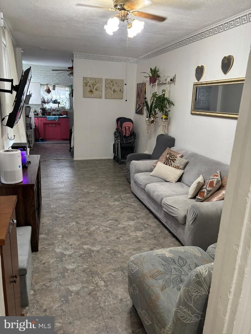 439 Buttonwood Street photo 7