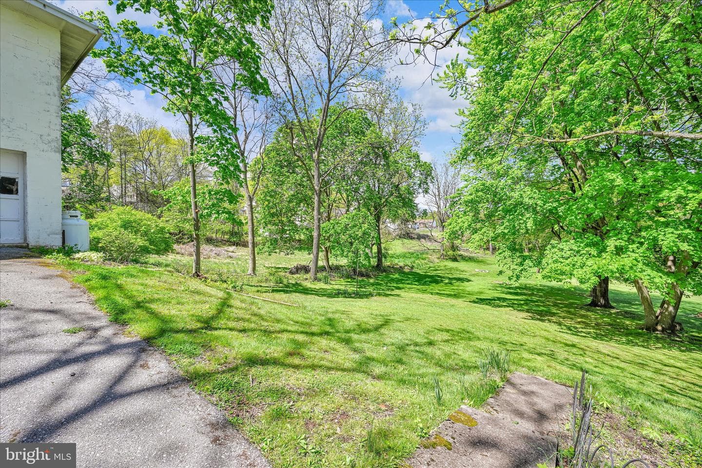 147 Walnut Street photo 39