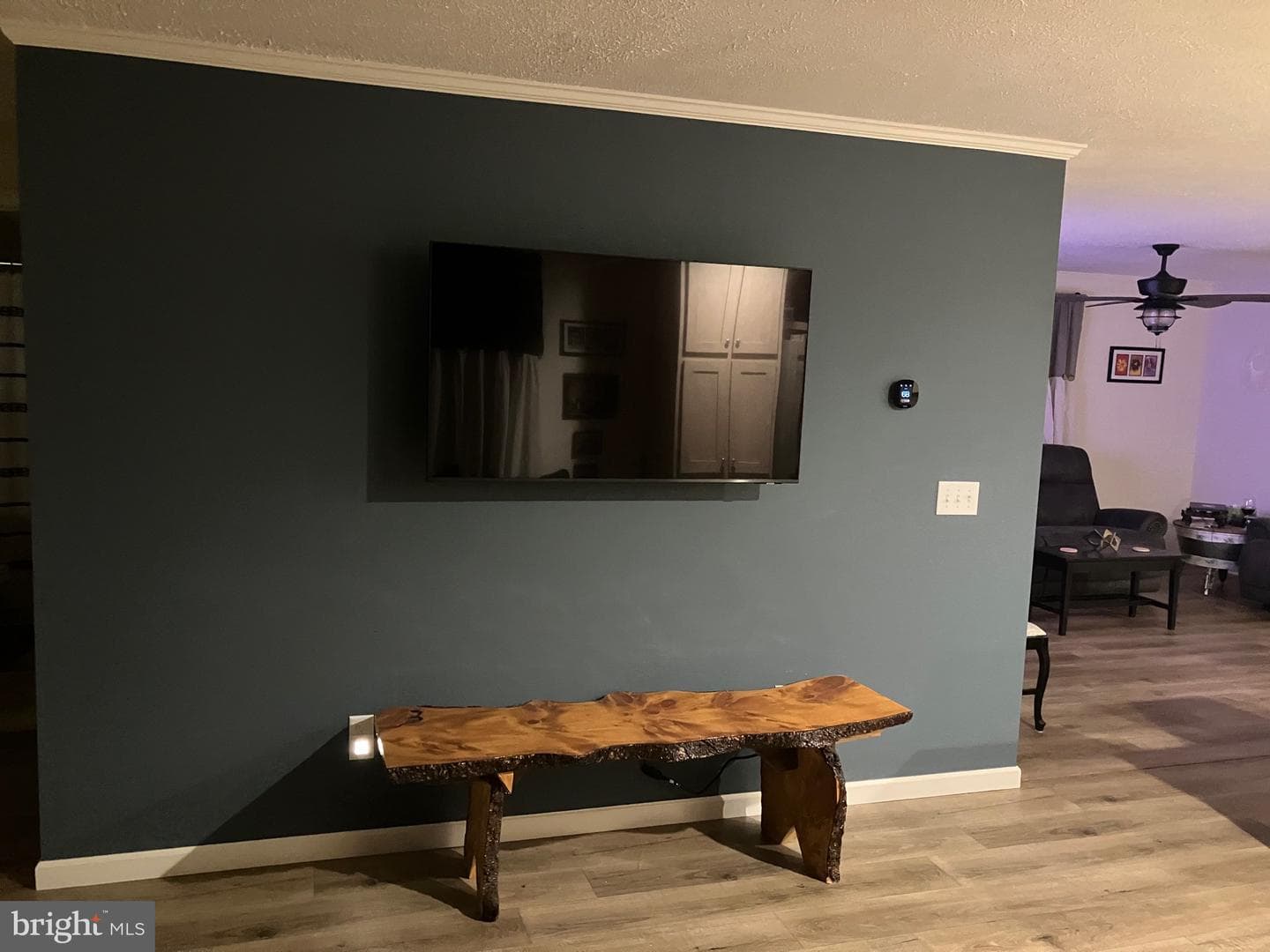 113 Mountain Village Drive photo 3