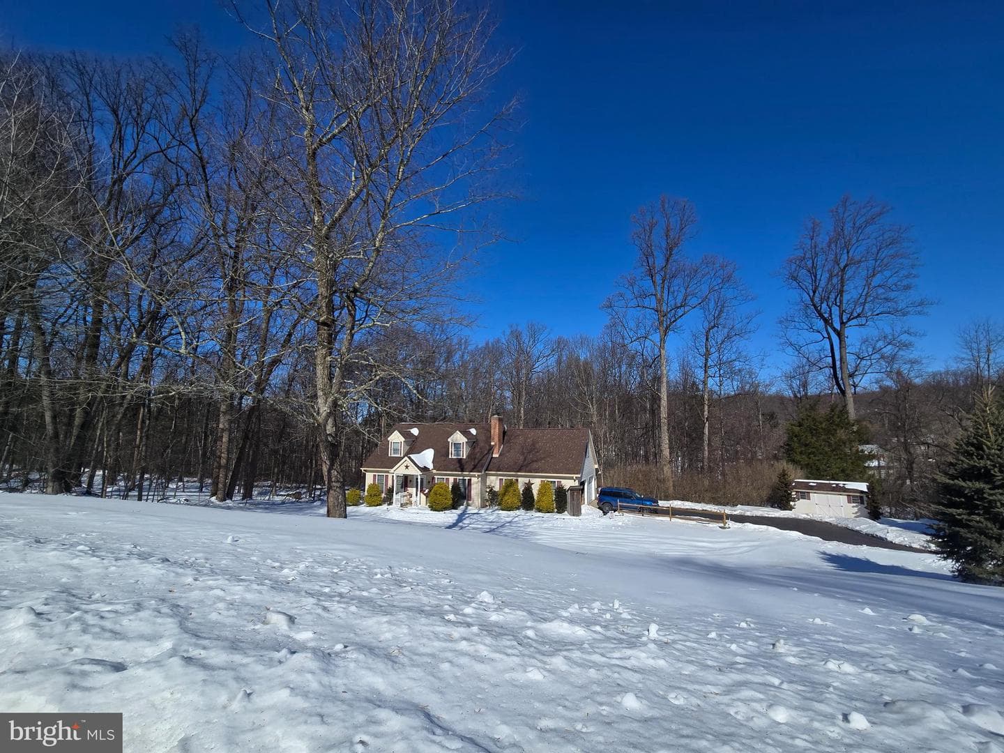 3 White Oak Drive photo 40
