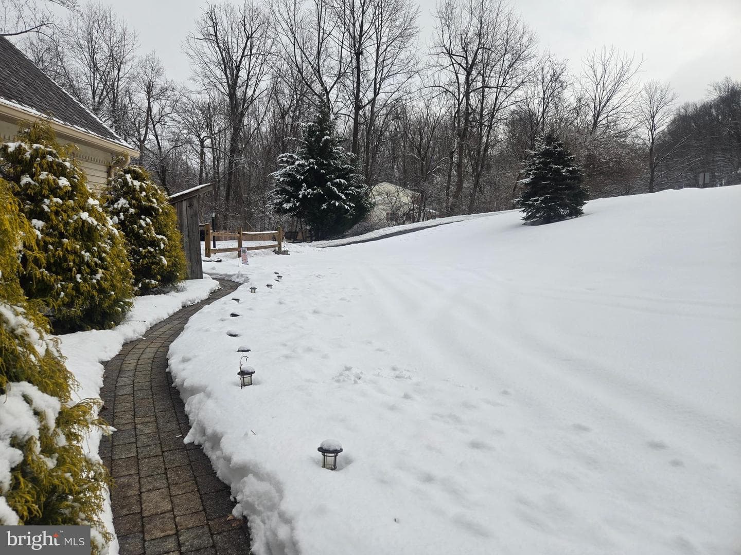 3 White Oak Drive photo 42