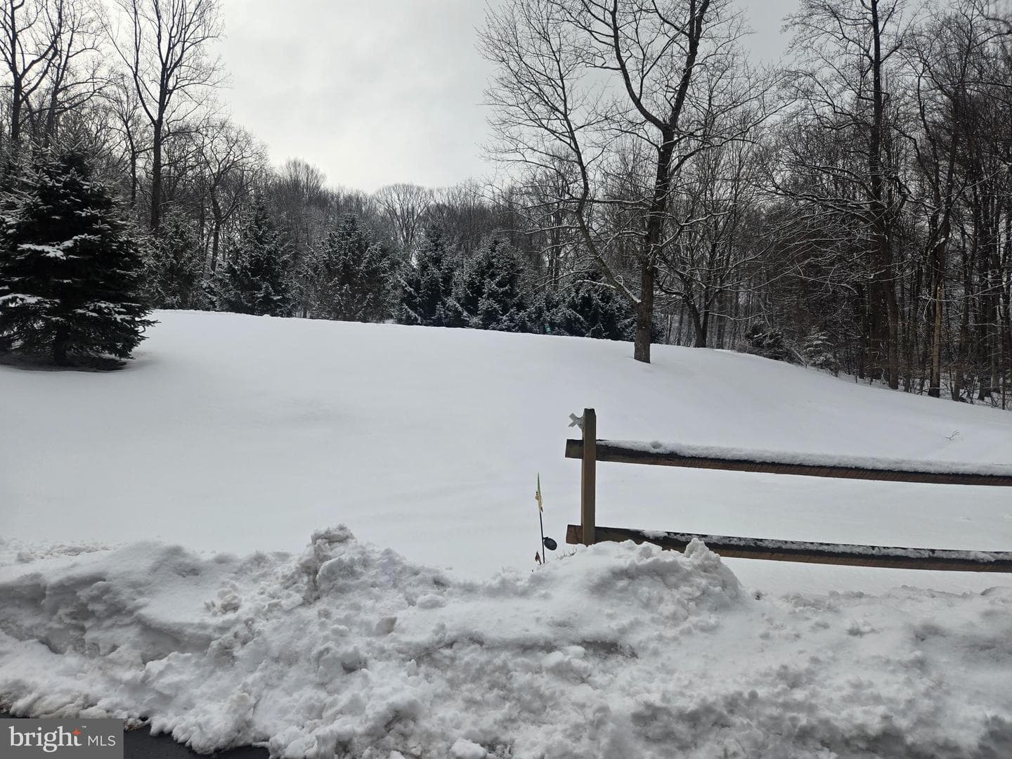 3 White Oak Drive photo 44