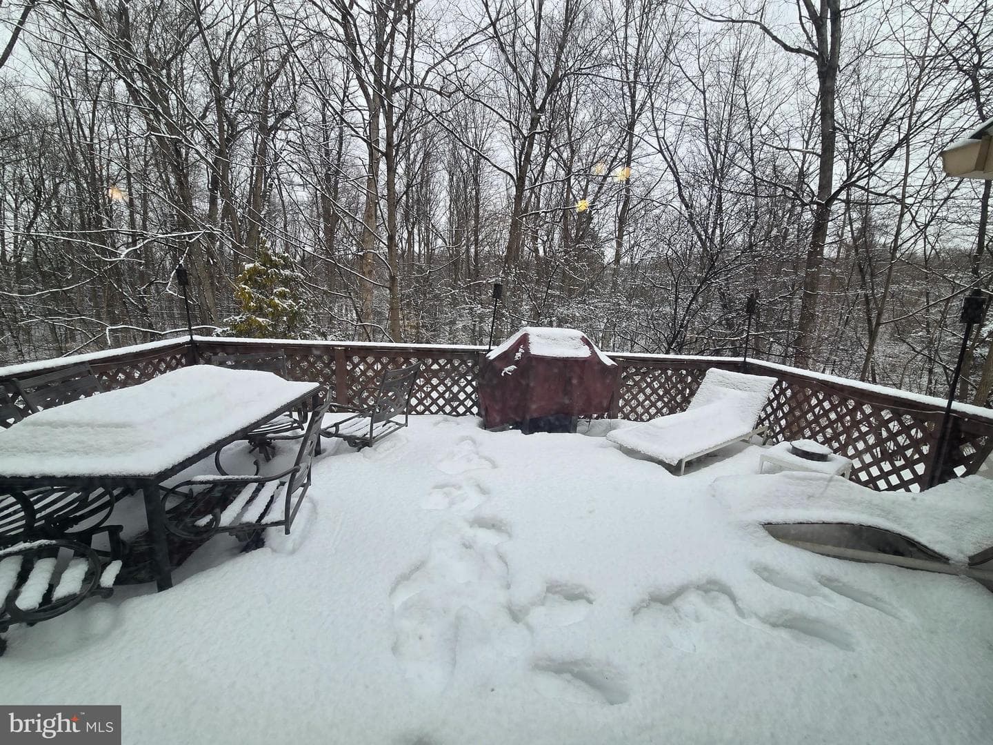 3 White Oak Drive photo 48