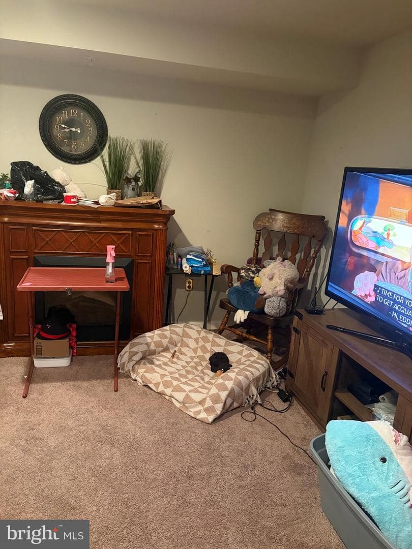 74 Emily Court photo 5