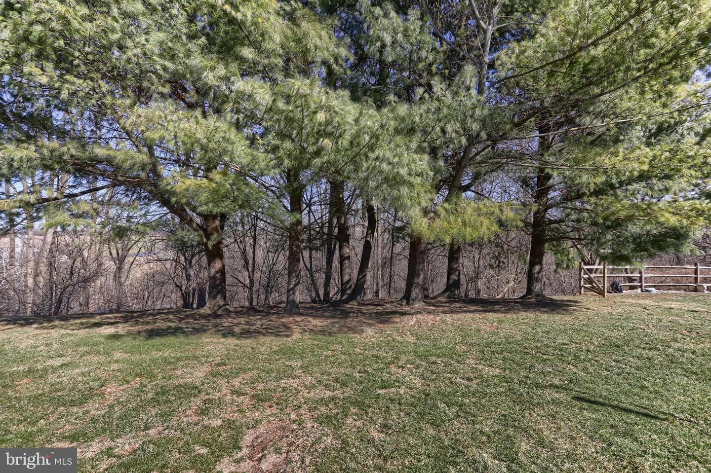 10 Westview Terrace photo 44