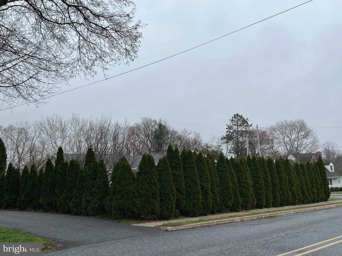 2 Locust Lane photo 38