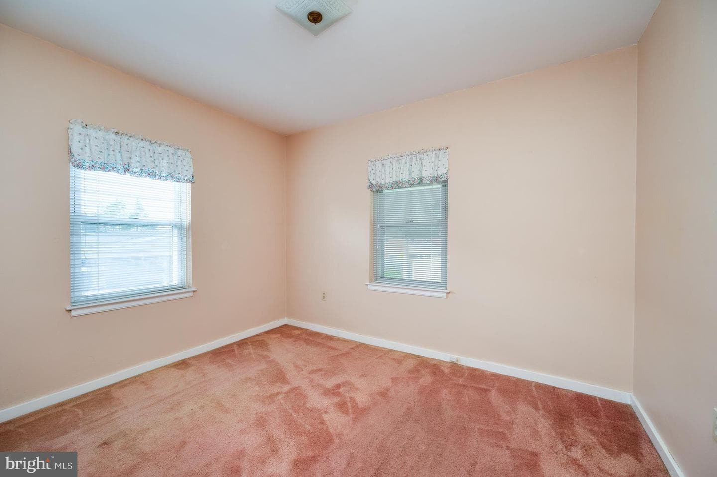 209 Carroll Street photo 21