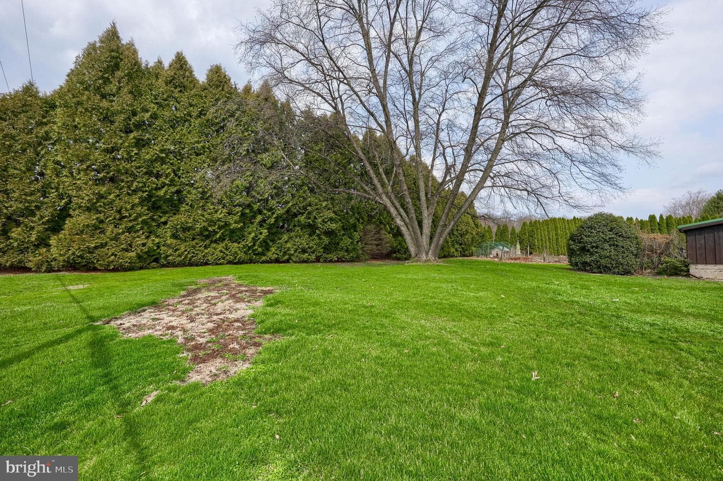 100 Seyler Road photo 42