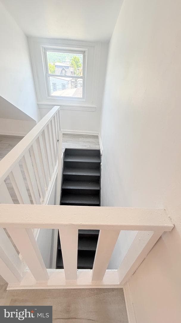 341 Pear Street photo 53
