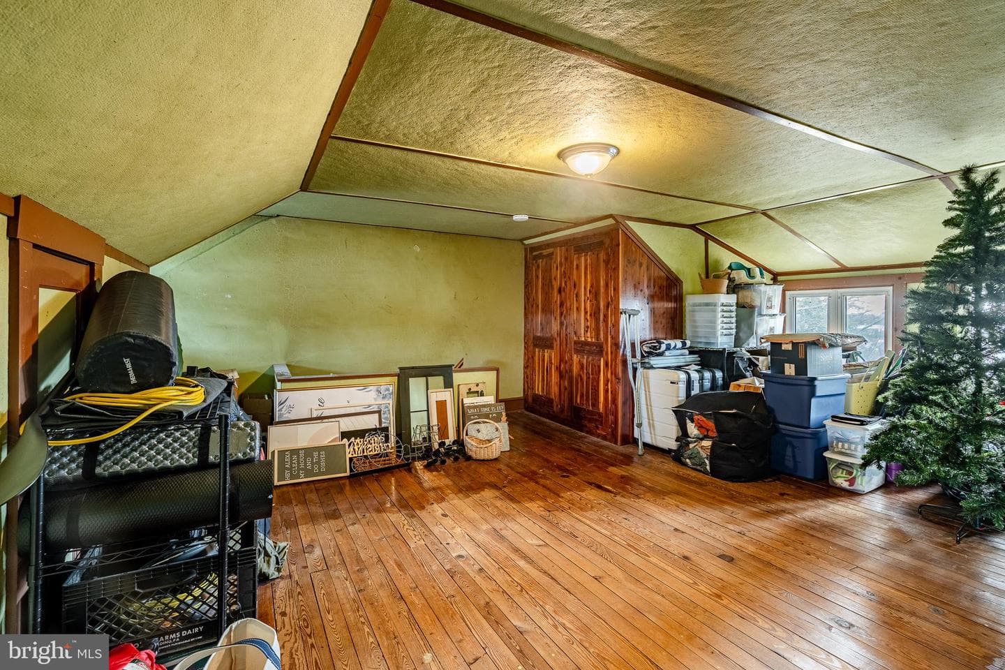 36 Fairview Street photo 30