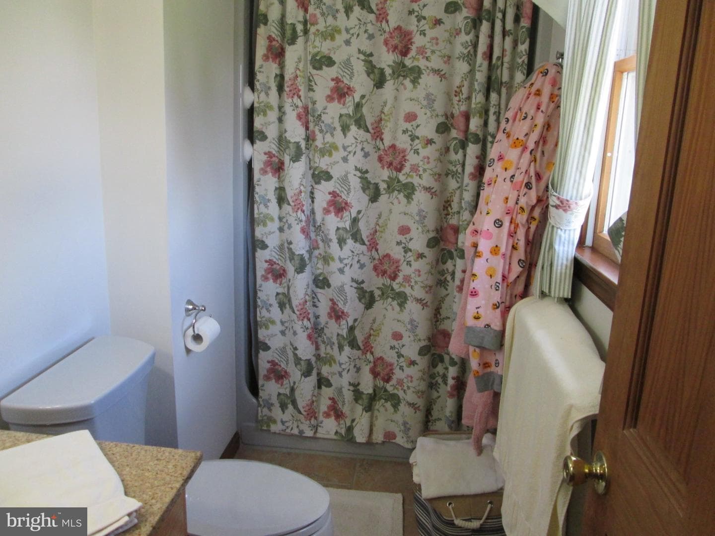 113 Nickel Drive photo 30