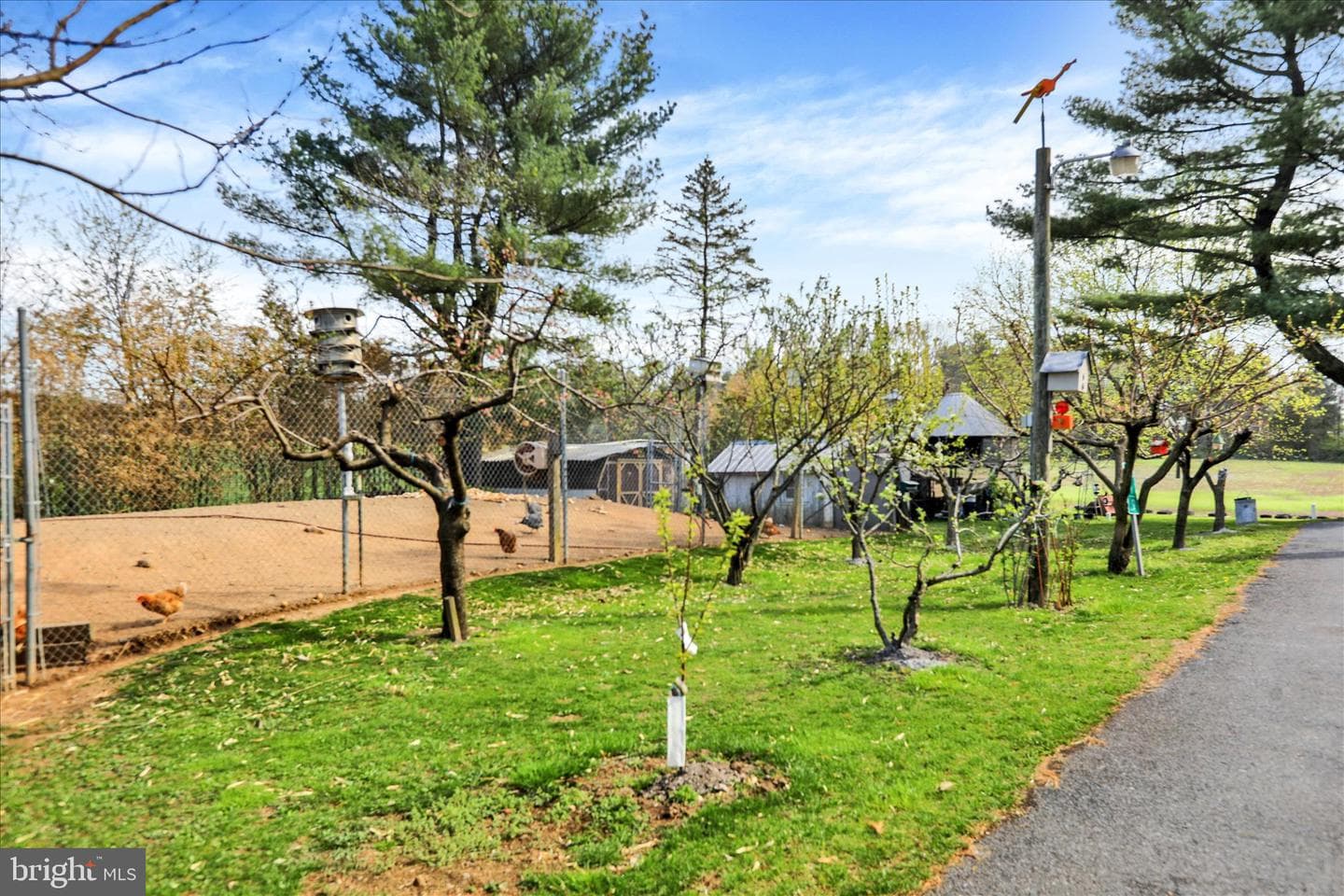 5160 Old Route 22 photo 48