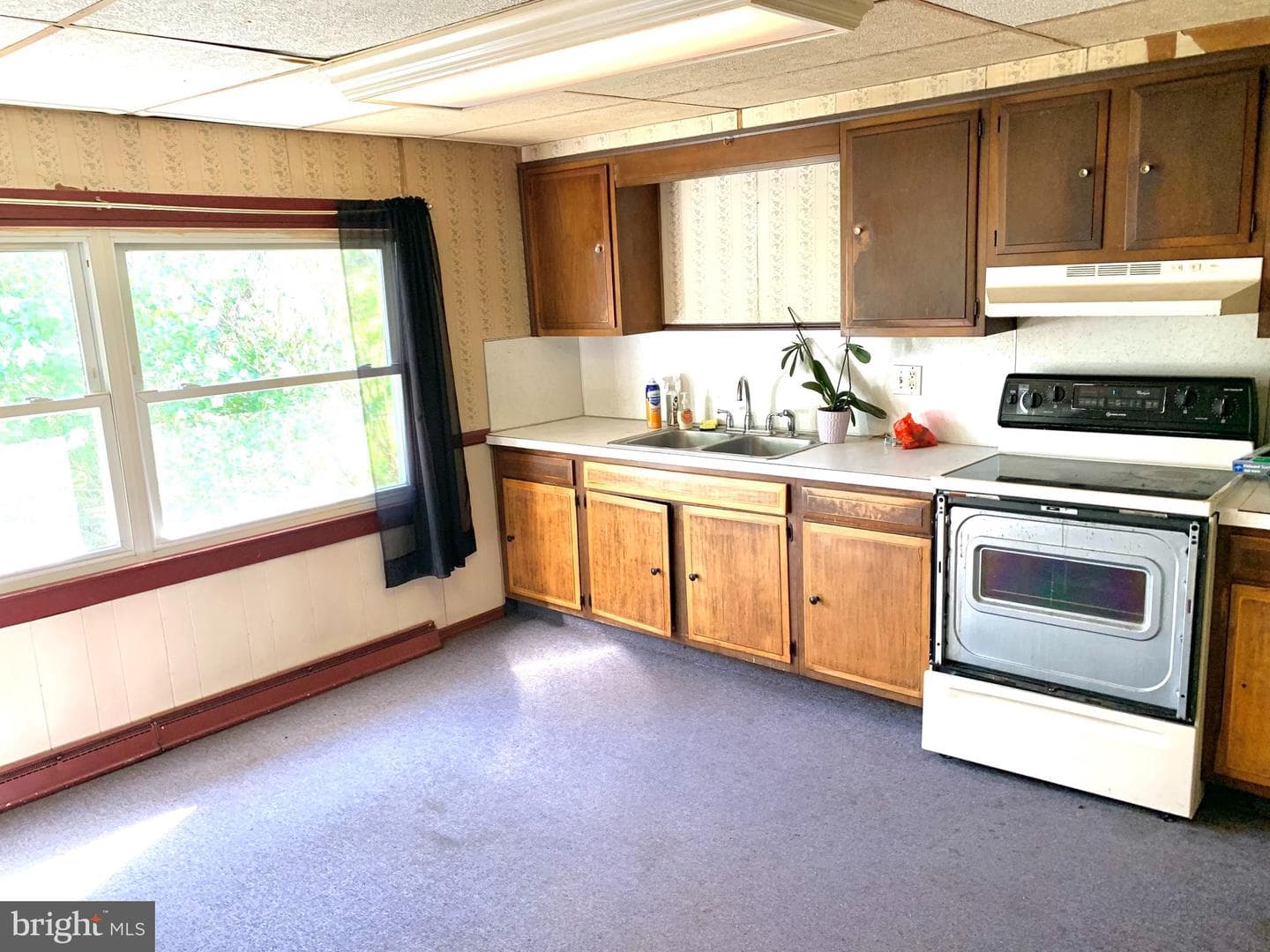 133 Hampton Drive photo 8