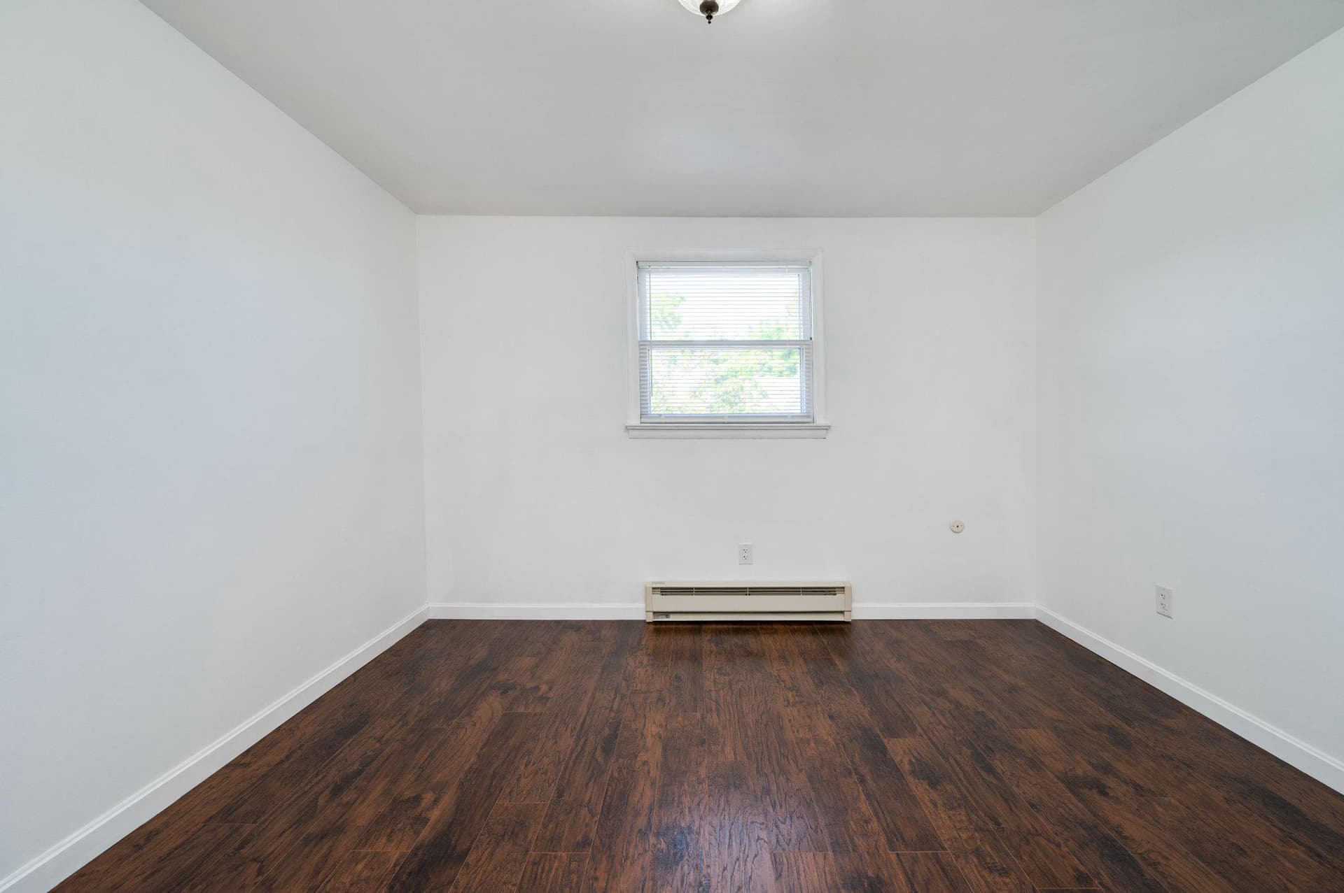 4 S Buttonwood Street photo 16