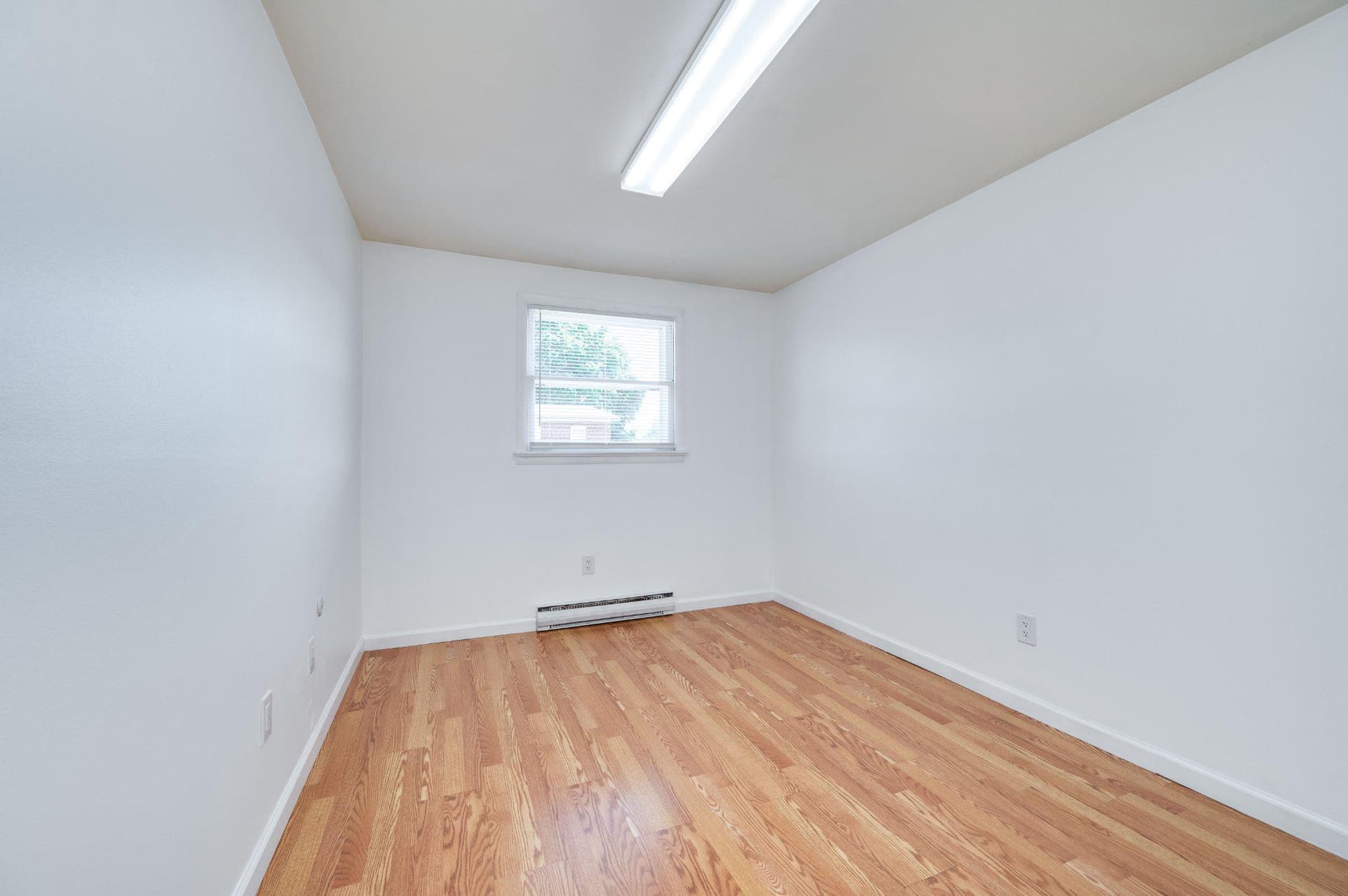 4 S Buttonwood Street photo 17