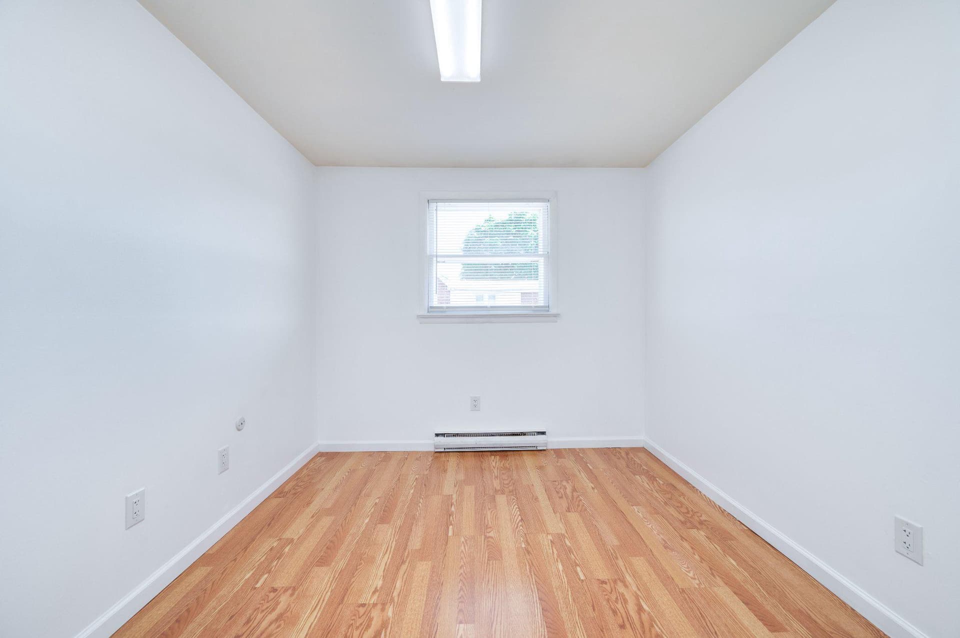 4 S Buttonwood Street photo 19