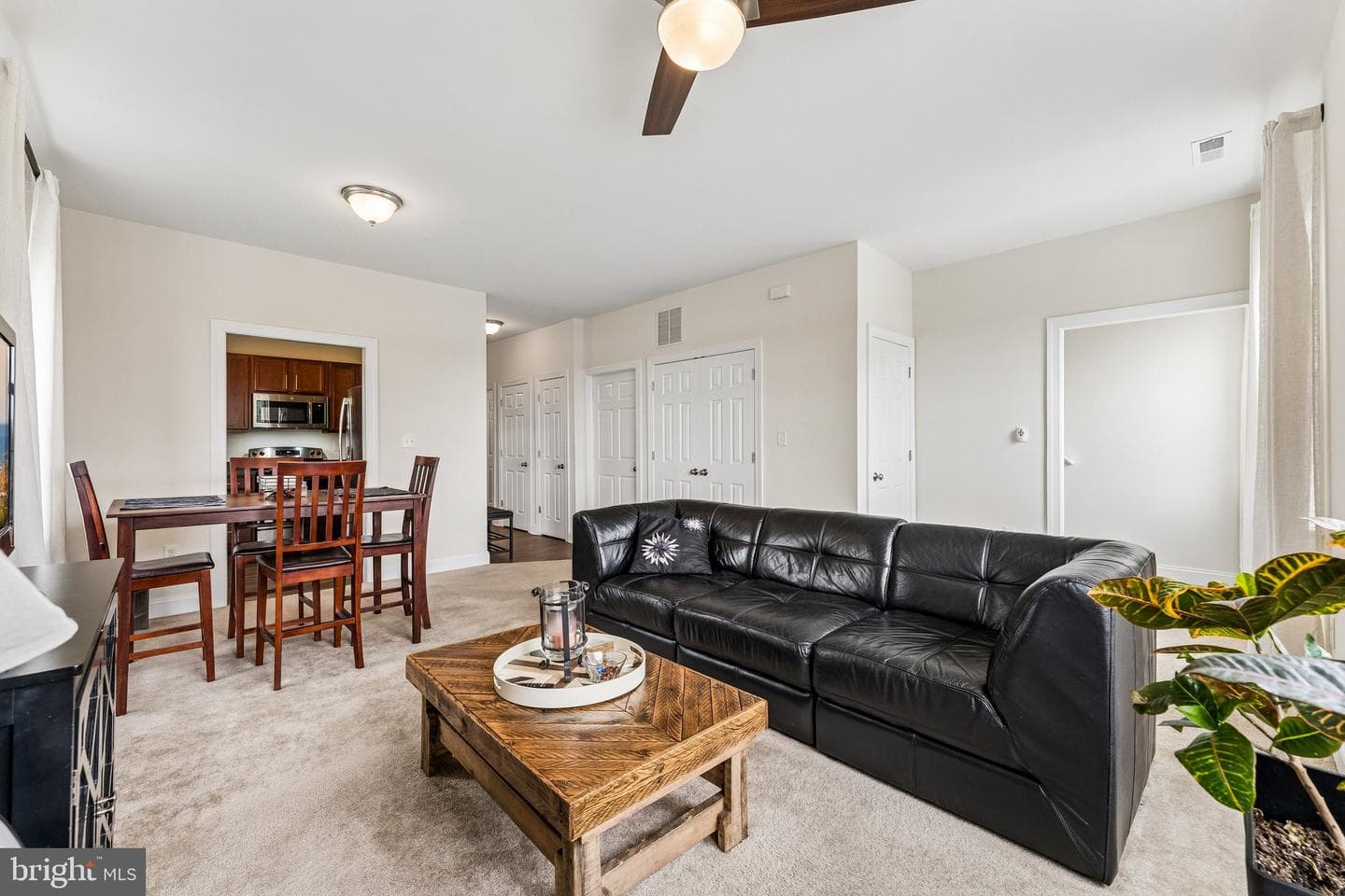 101 Dogwood Street #a-2 photo 5