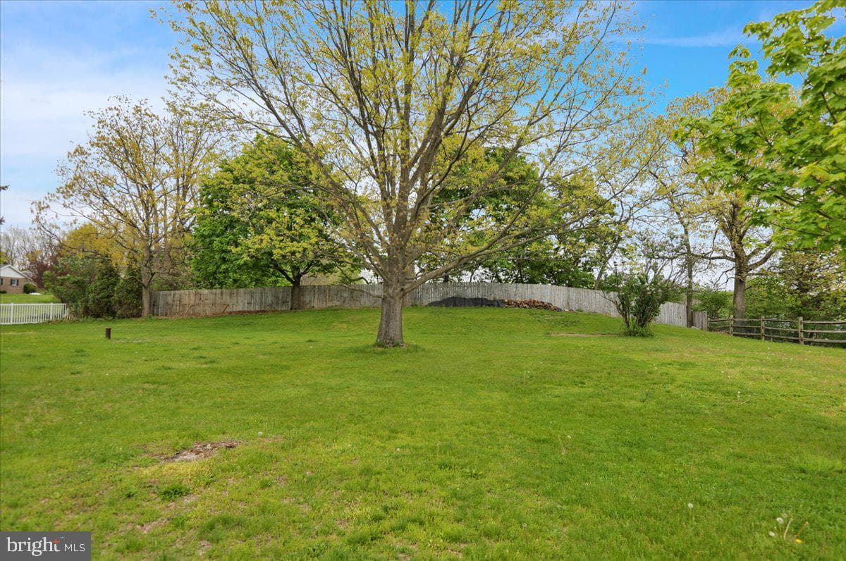 49 Berne Road photo 36
