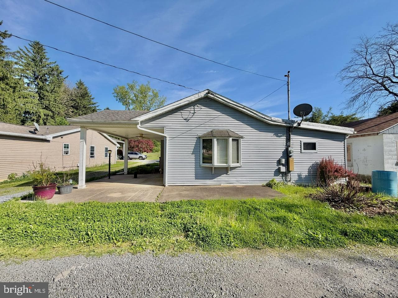 393 Park Road photo 3