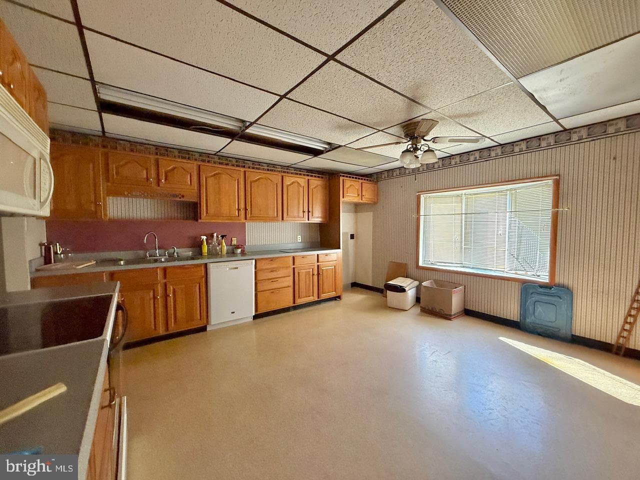 393 Park Road photo 7