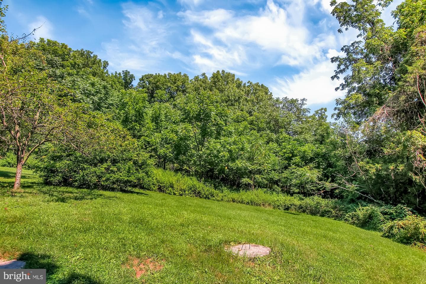 177 Imperial Drive photo 34