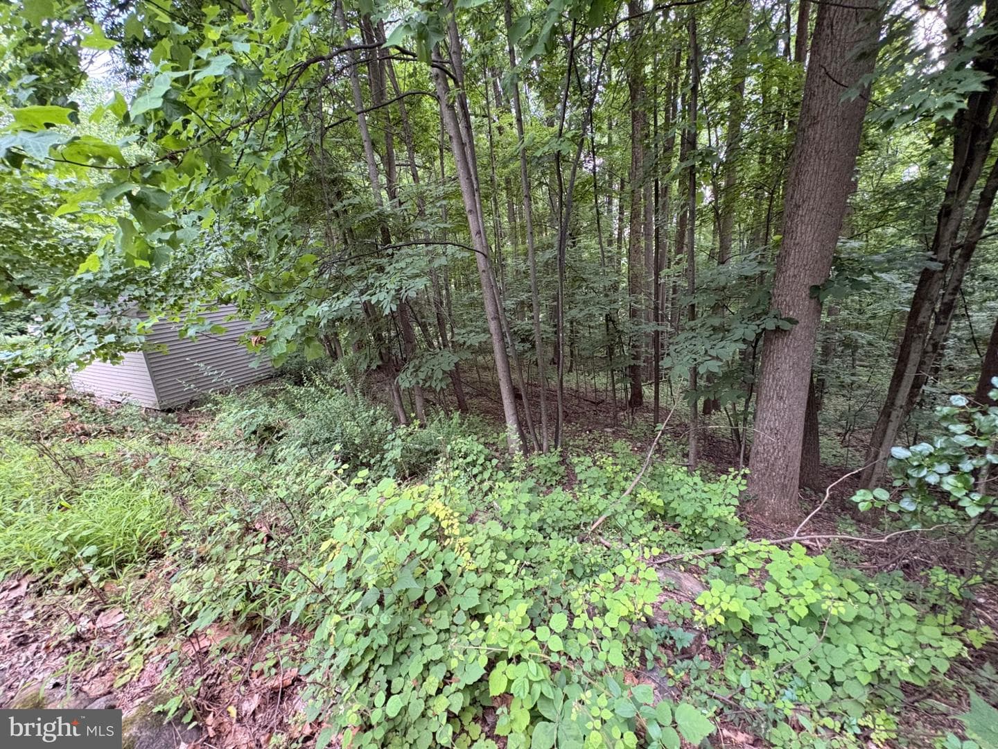 52 Hess Road photo 99