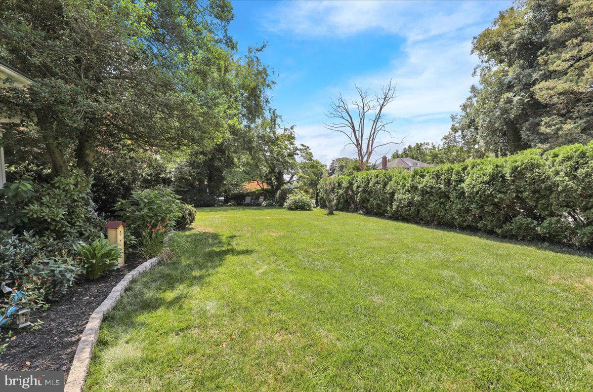 2503 Prospect Street photo 5